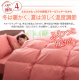 3年保証 新20色羽根布団11点セット ベッドタイプ　ダブル / アイボリー