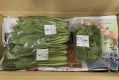 オーガニック・特別栽培野菜セット18品目（野菜15/キノコ2/果物1）4回分（毎週1回×4）
