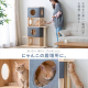 ナチュラルキャットタワー（4段/120cm）/ナチュラル