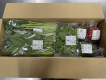 オーガニック・特別栽培野菜セット10品目（野菜8/キノコ1/果物1）お試し1回