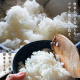 アイリスの生鮮米 無洗米 新潟県魚沼産こしひかり 【1.5kg(300g[2合]×5袋入り)×4】