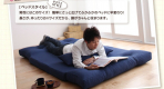 コンパクトフロアリクライニングソファベッド happy ハッピー　幅120cm / ブラウン