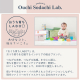 厚さが選べる 高通気・抗菌防臭 ファミリーマットレス敷き布団 厚さ6cm ワイドK280 / アイボリー