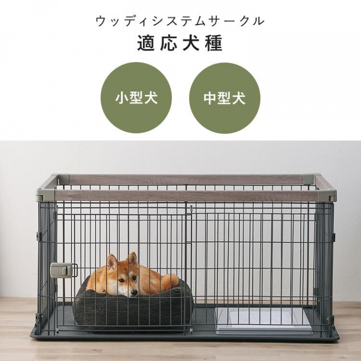 ウッディシステムサークル　SWS-1200 / アッシュグレー
