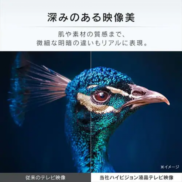 40V型 2K液晶テレビ?LT-40E420B / ブラック