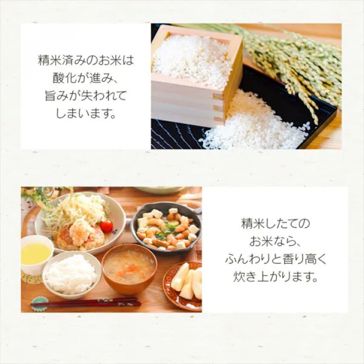 米屋の旨み 銘柄純白づき 精米機/ホワイト