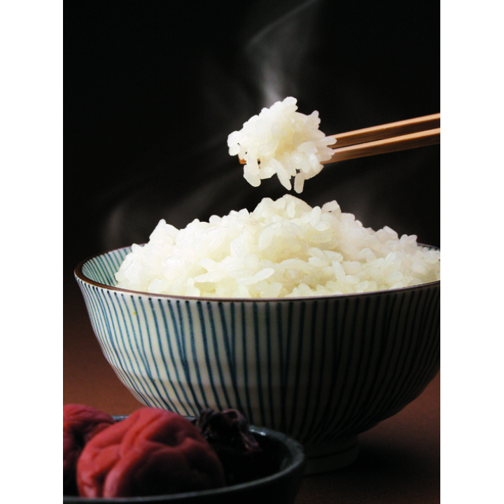 新潟産こしひかり 2kg