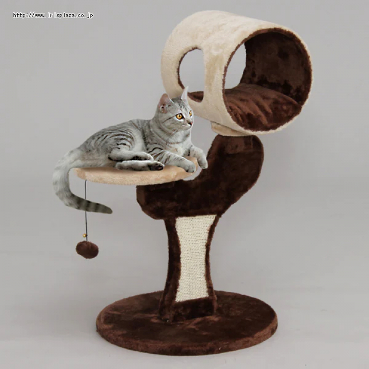 キャットランド/ブラウン