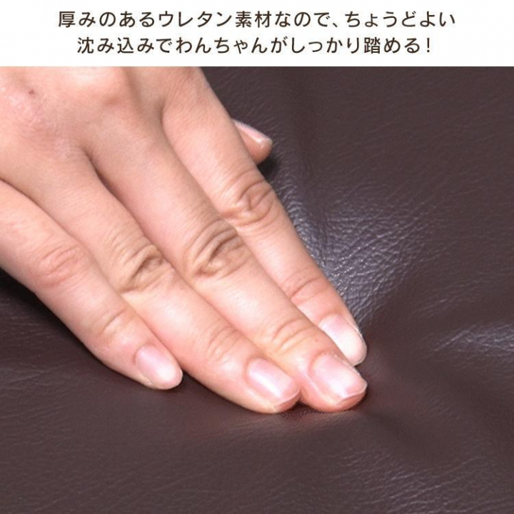 ペットステップ/マスタード