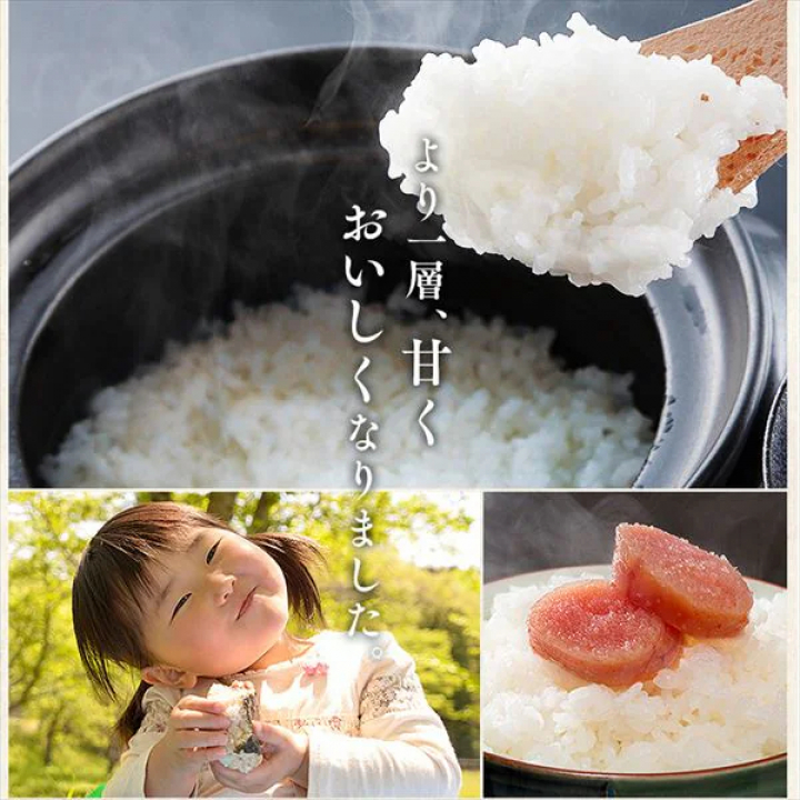 低温製法米 宮城県産 だて正夢 チャック付き【2kg×4】