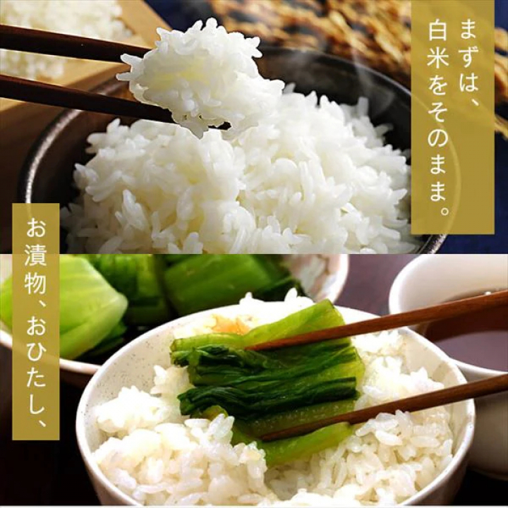 低温製法米 無洗米 新潟県産こしひかり チャック付き 2kg【4袋セット】 