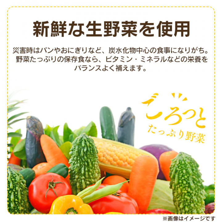 災対食パウチ肉じゃが220g×36個