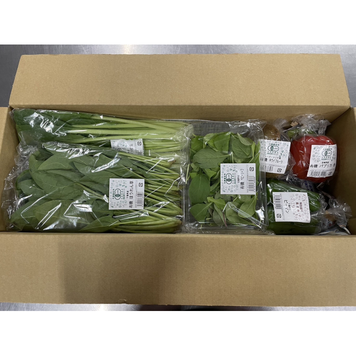 オーガニック・特別栽培野菜セット10品目（野菜8/キノコ1/果物1）お試し1回