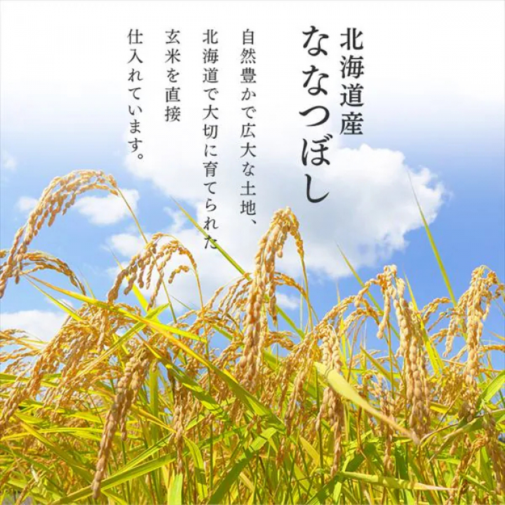アイリスの低温製法米 北海道産ななつぼし【5kg×4】