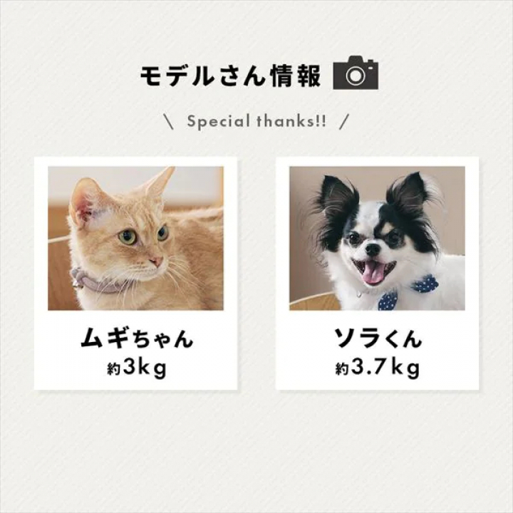 プライウッド オーバルペットベッド/ナチュラル