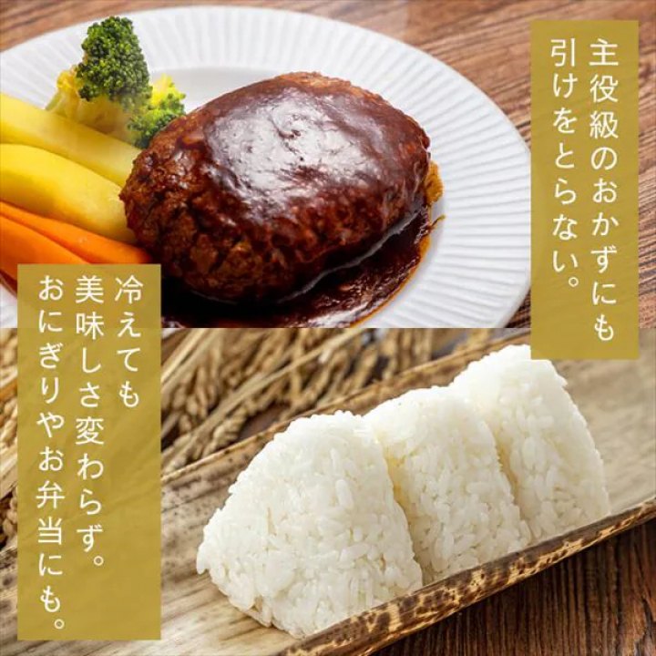 アイリスの低温製法米 北海道産ゆめぴりか 【5kg×4】 