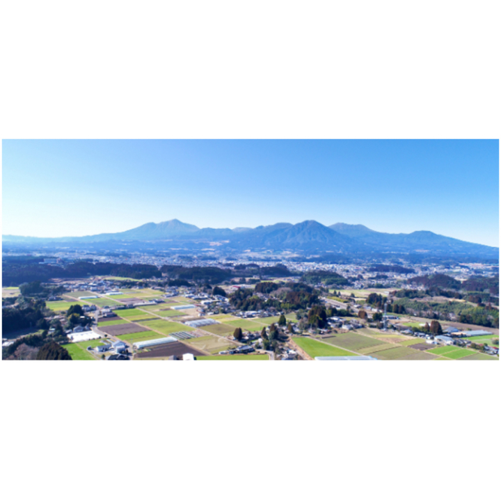 【冷蔵】純宮崎産メルベイユキャビア バエリ 40g