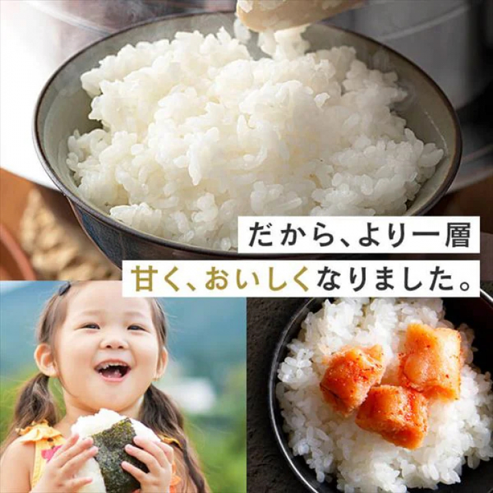 アイリスの生鮮米 無洗米 山形県産つや姫 【1.5kg(300g[2合]×5袋入り)×4】