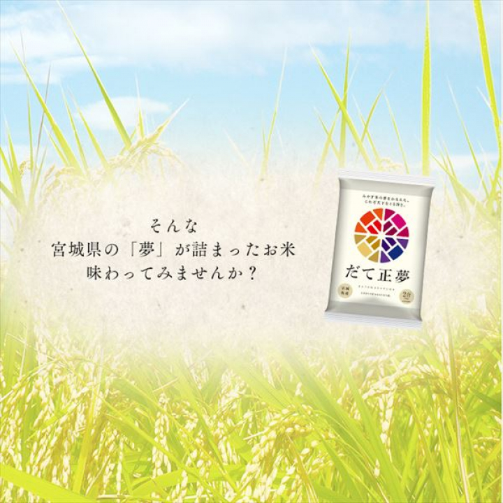 低温製法米 宮城県産 だて正夢 チャック付き【2kg×4】