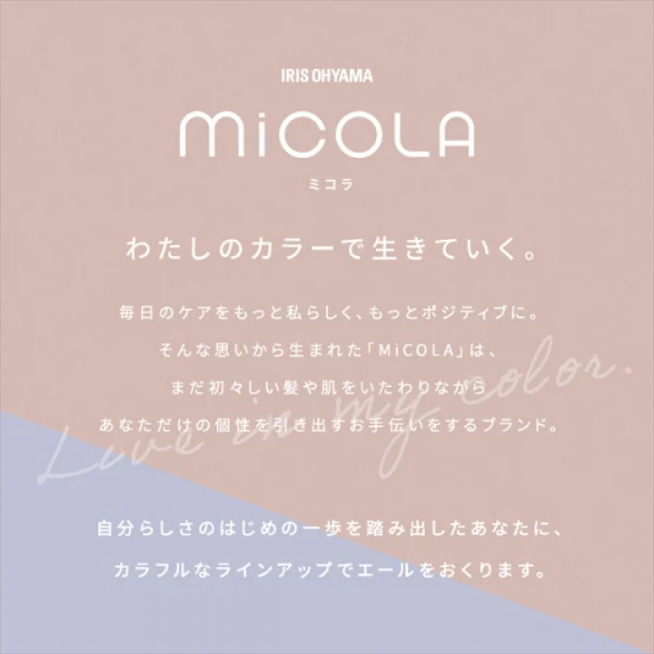 イオンドライヤー/ダークグレー