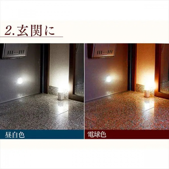 乾電池式LEDセンサーライト スタンドタイプ 昼白色