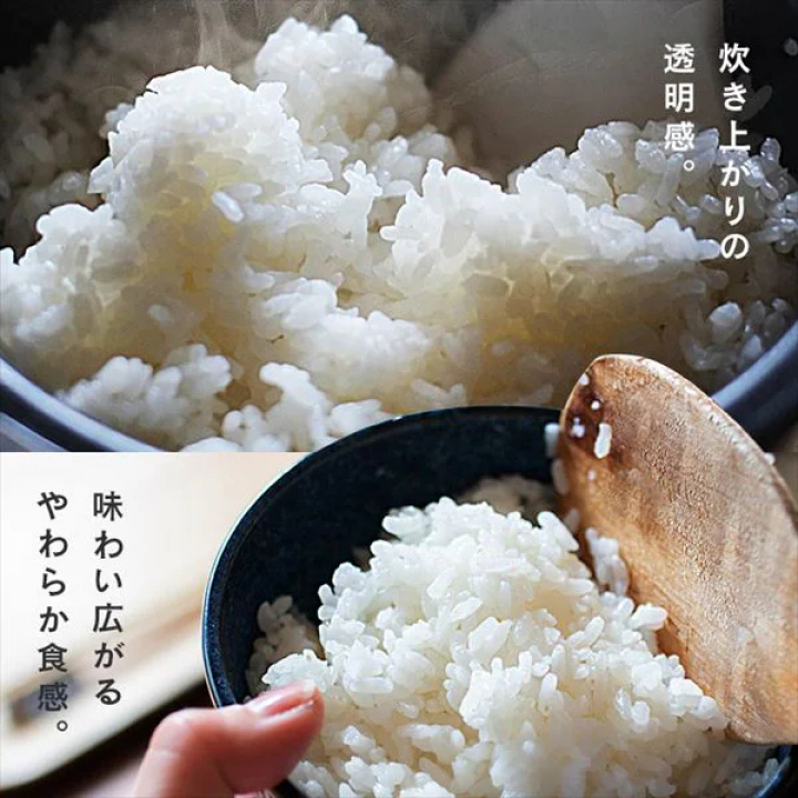 アイリスの低温製法米 北海道産ななつぼし【5kg×4】