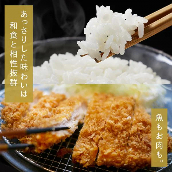 アイリスの低温製法米 北海道産ななつぼし【5kg×4】