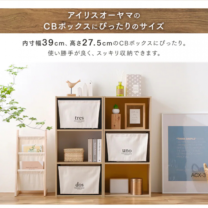 ワイヤーバスケット アイボリー(TRES)