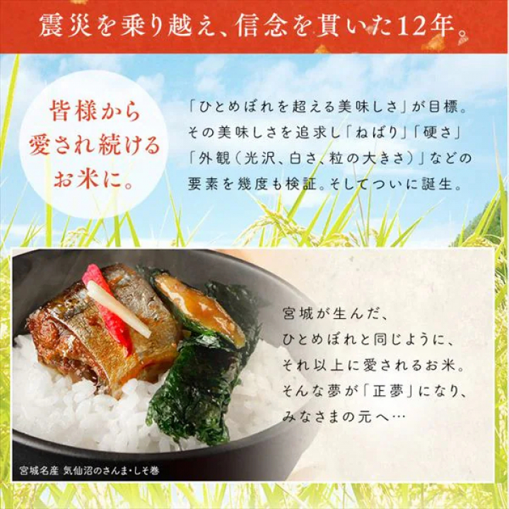 低温製法米 宮城県産 だて正夢 チャック付き【2kg×4】
