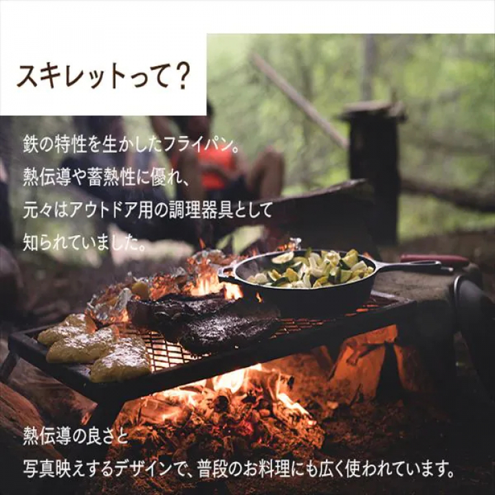 アイリスオーヤマ スキレットコートパン 24cm IH対応/ブラック