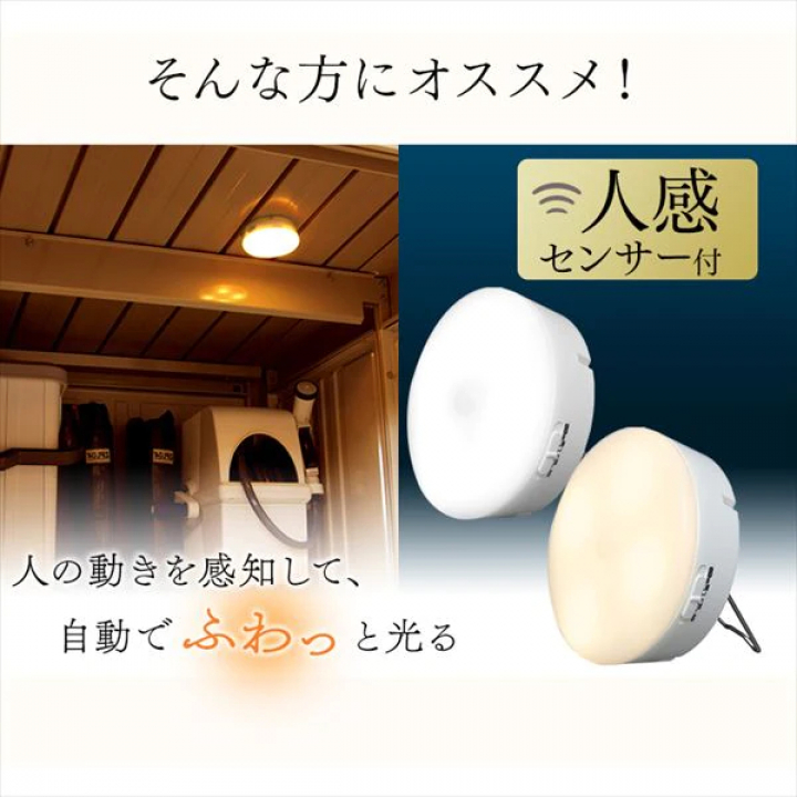乾電池式LEDセンサーライト マルチタイプ 昼白色