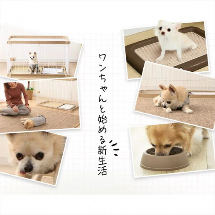 ドッグスターターセット