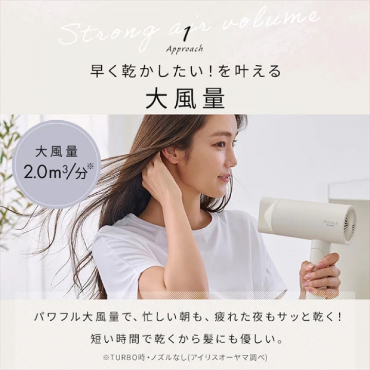 イオンドライヤー/ダークグレー