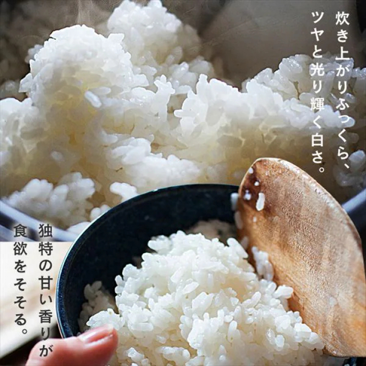 アイリスの生鮮米 無洗米 新潟県魚沼産こしひかり 【1.5kg(300g[2合]×5袋入り)×4】