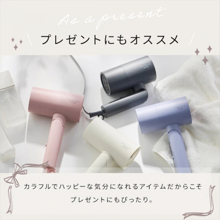 イオンドライヤー/ダークグレー