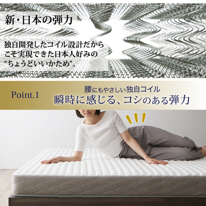 棚・コンセント付き引き出し収納ベッド ダブル（ベッドフレームのみ） / ピュアホワイト