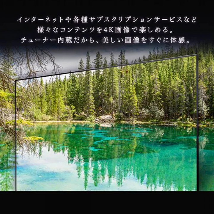 4Kチューナー内蔵スマート液晶テレビ 65V型/ブラック